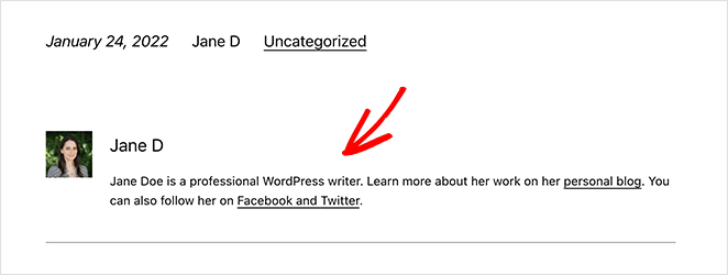 WordPress-author-box-without-plugin - SeedProd WordPress author box without plugin