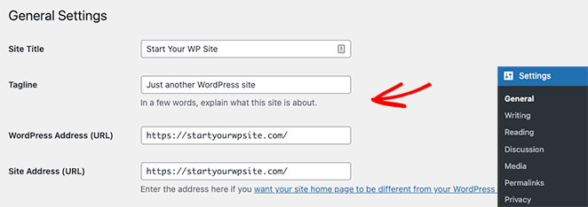 general-settings-wordpress - SeedProd WordPress general settings
